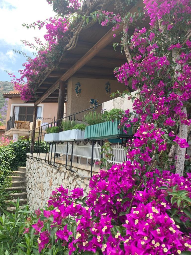 Sea View Bougainvillea 52 Kalkan Ngoại thất bức ảnh